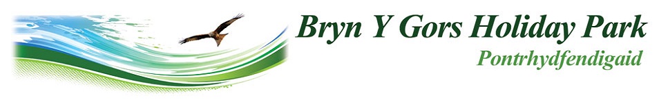 Bryn-y-gors logo